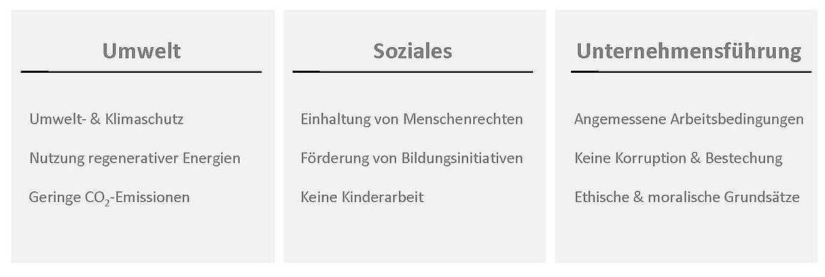 Grafik zur Bedeutung von ESG